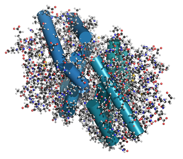 a rendering of the fel d 1 protein