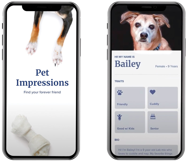 a mockup of the Pet Impressions app