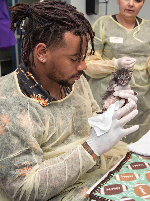 a man holding a tiny kitten