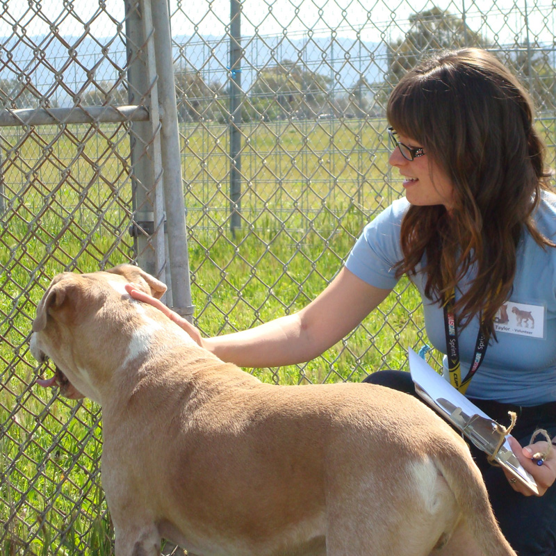 a woman kneels next to a dog in front of a fence