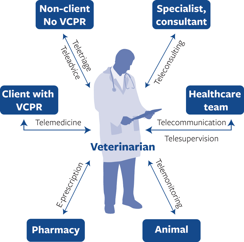 diagram of telemedicine process