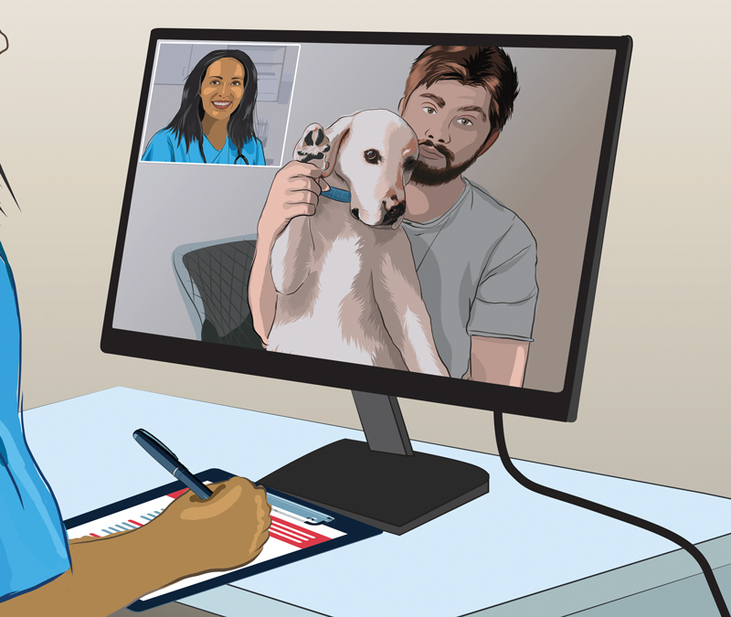 illustration of a veterinarian talking to a man and his dog on the computer