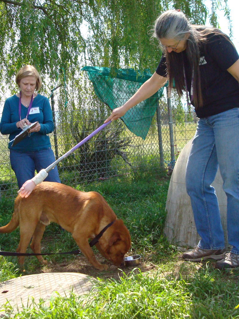 two women training a dog