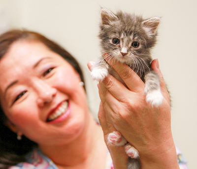 A woman holding up an adorable kitten.