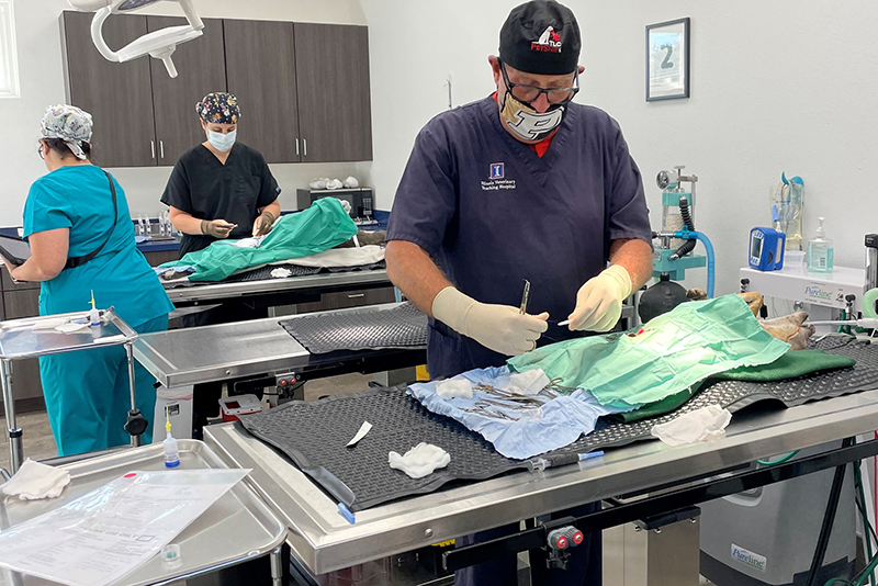 Dr. Weedon performs a spay at TLC PetSnip.