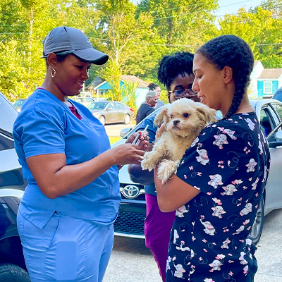 A dog gets shots at a community clinic.