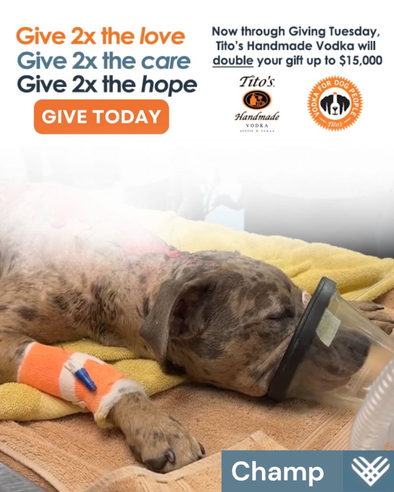 a fundraiser poster of a dog wearing an oxygen mask