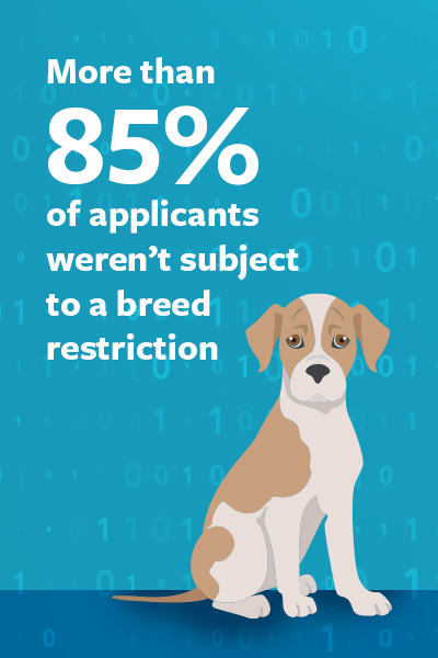 Illustration of a pit bull puppy saying 85% of applicants weren't subject to a breed restriction