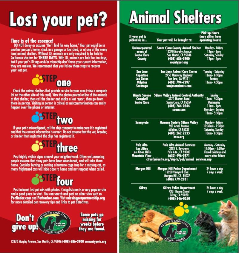 two fliers for an animal shelter