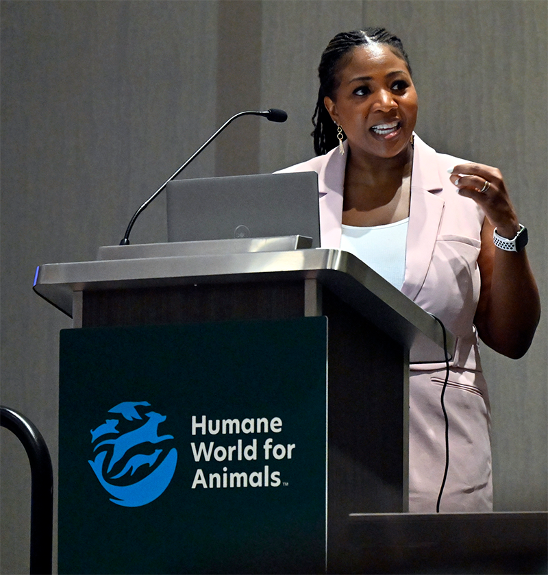 a woman speaking a podium