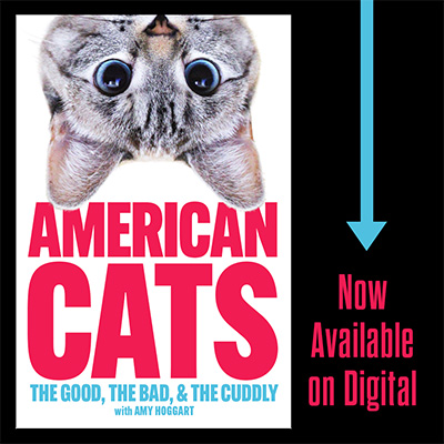 American Cats documentary poster