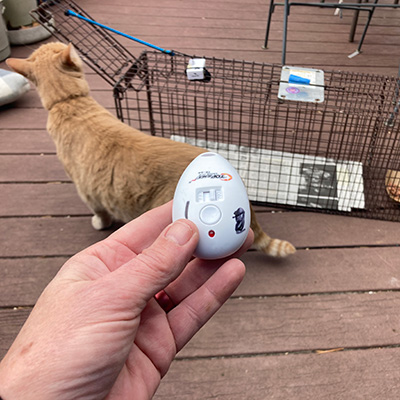 a person holds a small remote with a cat trap in the background