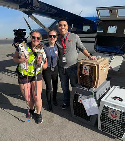 three people posing with dogs and pet carriers on the tarmac