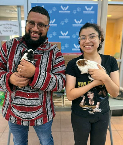 a man and woman smiling as they each hold a guinea pig