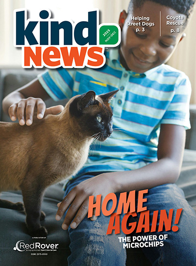 cover of Kind News magazine featuring a boy petting a cat