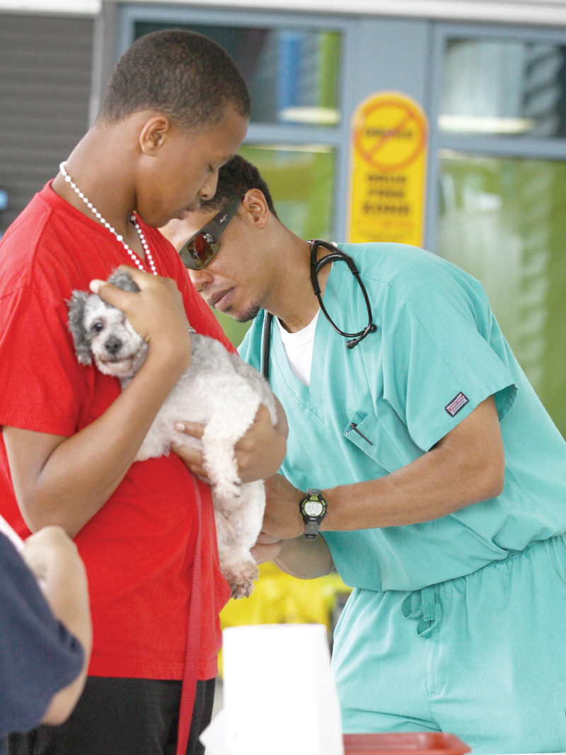 a vet examines a small dog cradled by its owner