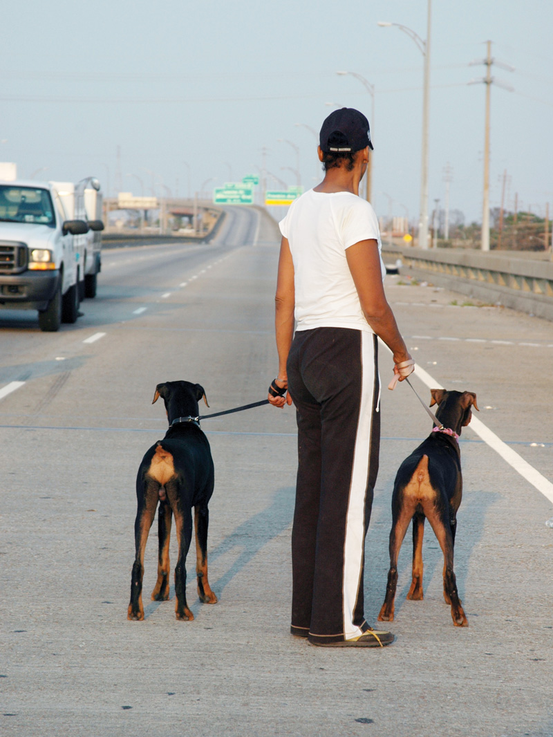 a person holds two dogs on leashes standing on a highway