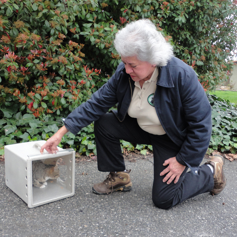 a woman kneesl next to a cat in a trap