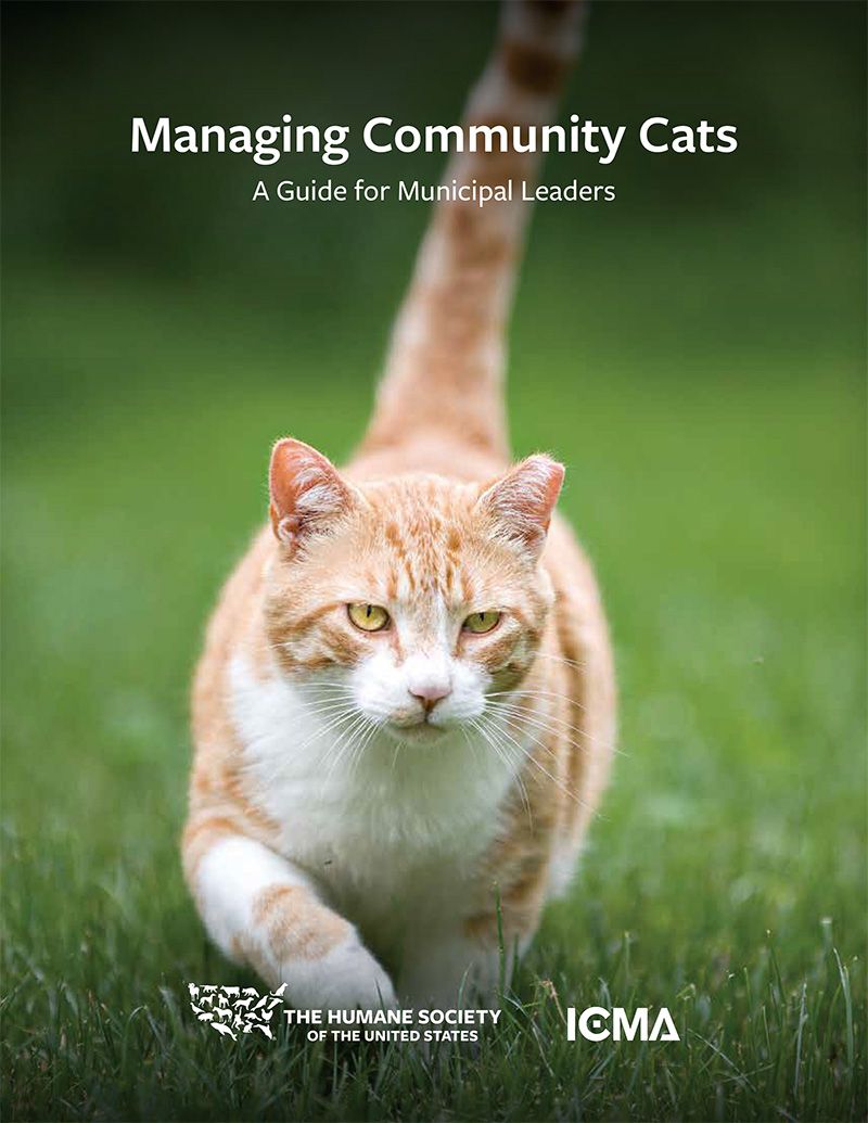 managing community cats
