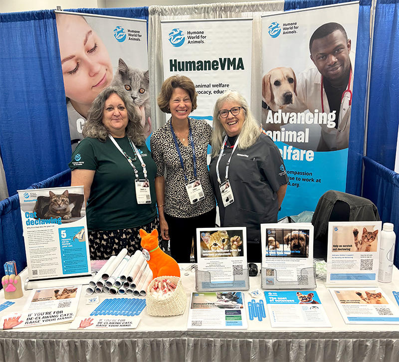 three women pose at a conference booth
