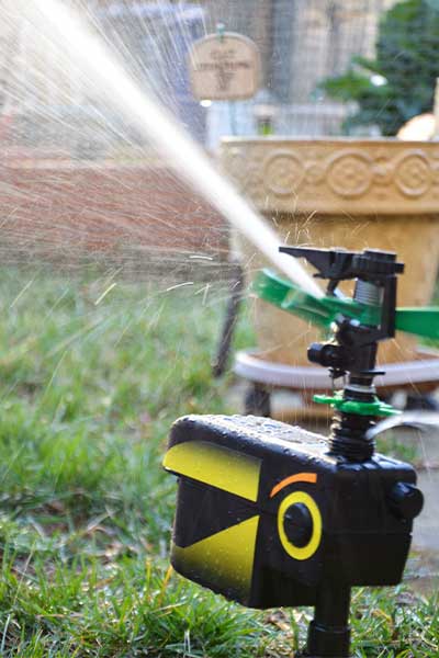 Scarecrow cat sprinkler