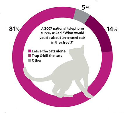 What research says about cats: they're selfish, unfeeling, environmentally  harmful creatures - Vox