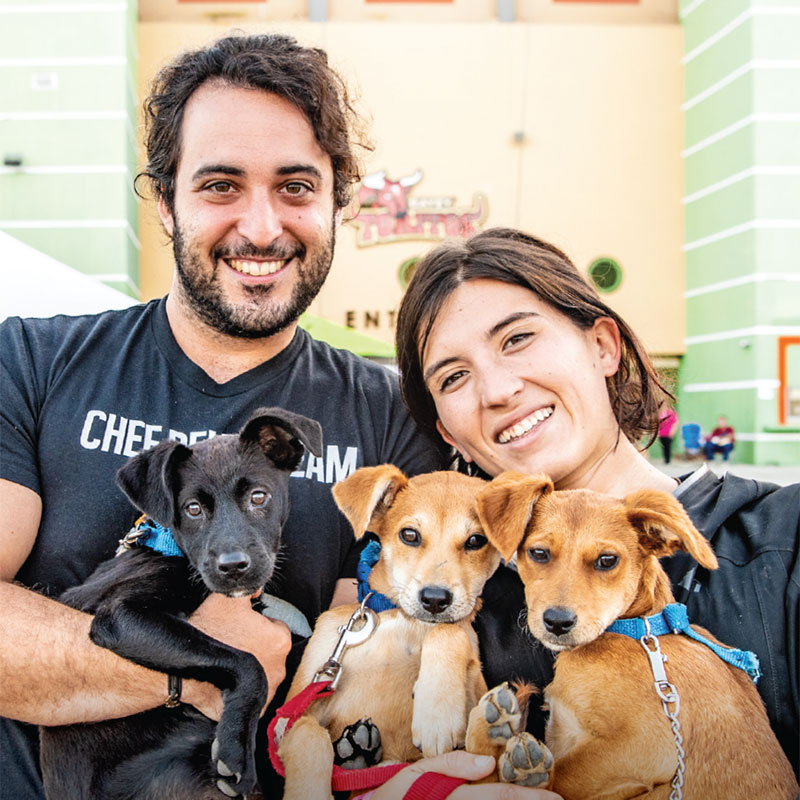 Feature image for Spanish Phrases for Animal Care Organizations
