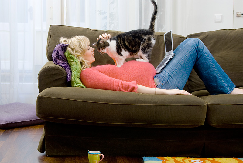 Toxoplasmosis: Can you catch crazy cat lady syndrome? – NU Sci Magazine