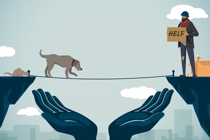 illustration of a dog and cat walking a tightrope to their homeless owner on the other side