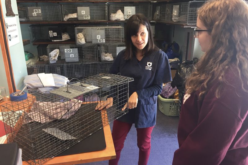 a woman instructs another woman on how to use a cat trap