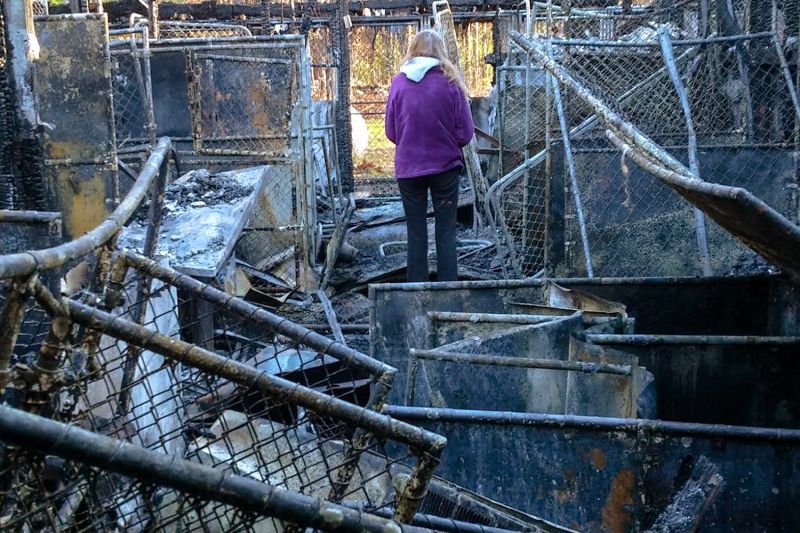 a woman stands amidst the debris of a burned shelter