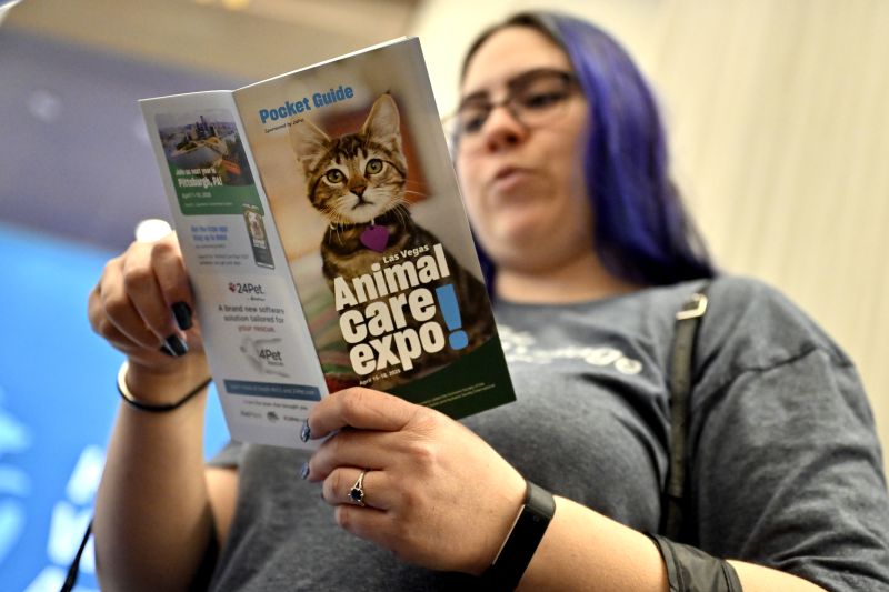 Person looking at a pocket guide