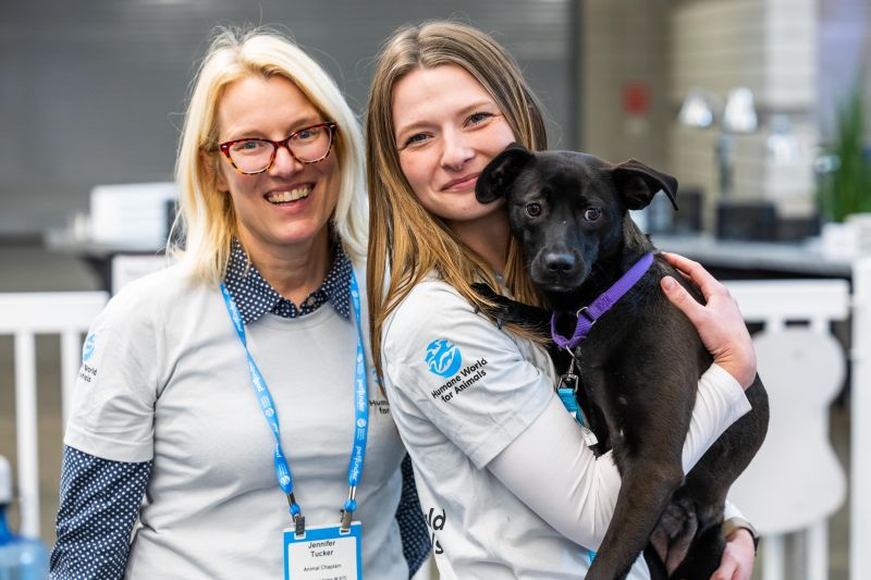 Two volunteers holding a black dog