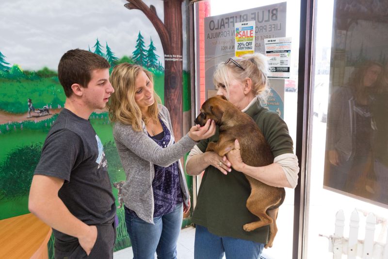 two people greet a dog being held by a woman