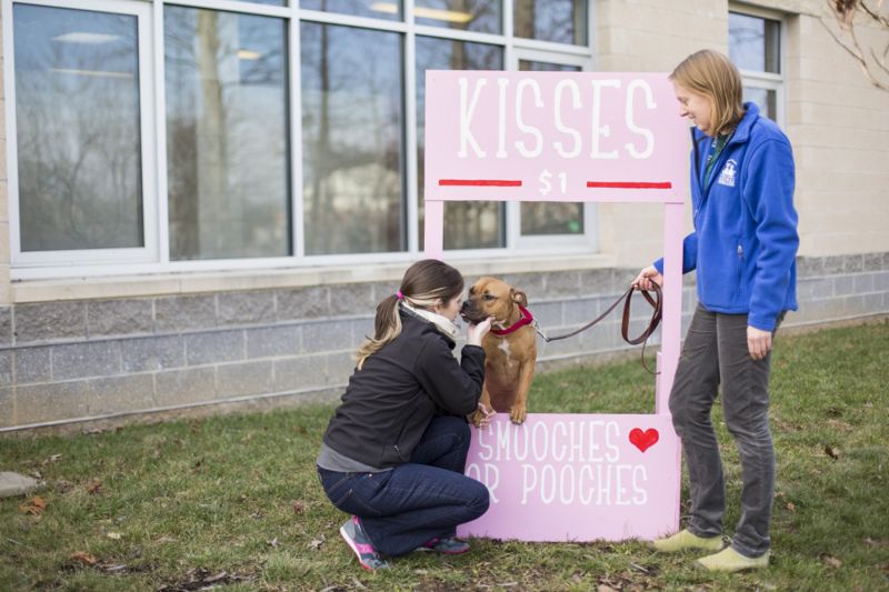a woman greets a dog standing behind a $1 kisses sign