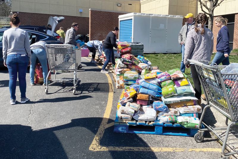 a group of people load shopping carts from a pallet of pet food