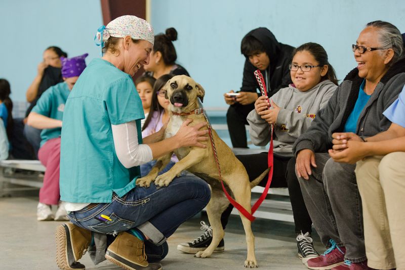 Ahne Simonsen greets a dog at a field clinic at the San Carlos Apache Reservation.