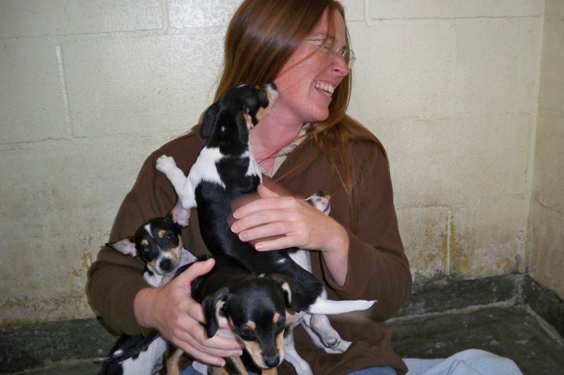 a woman laughing as she holds a group of puppies on her lap