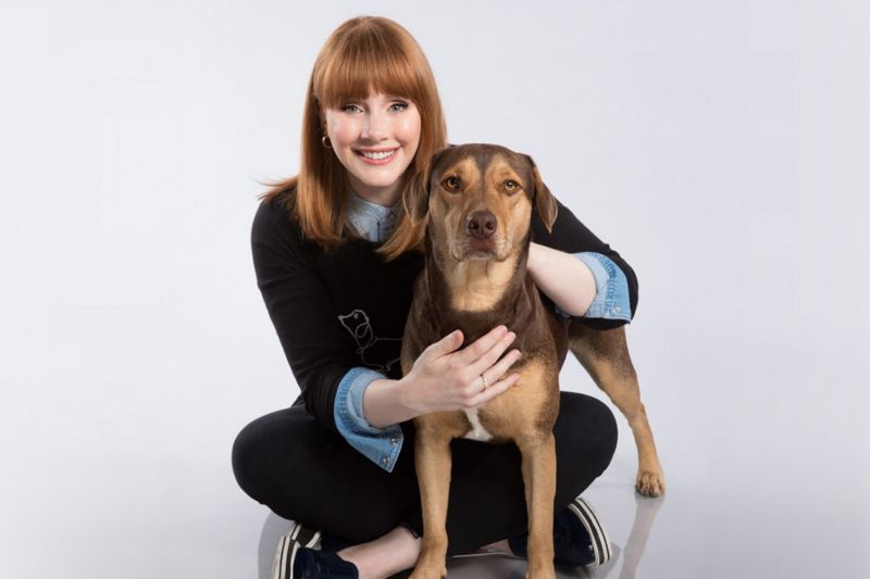 actress bryce dallas howard poses with a dog