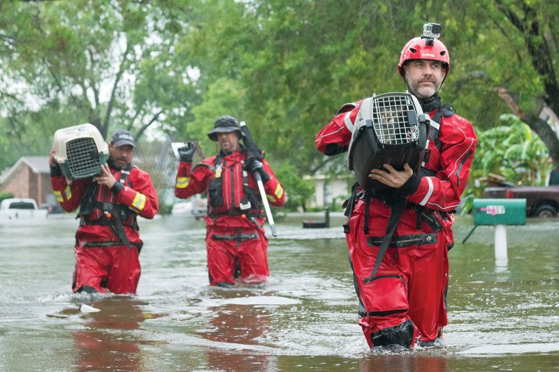 three men wade through knee deep water carrying animals in crates