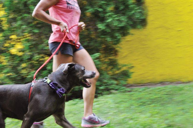 a woman running alongside a dog