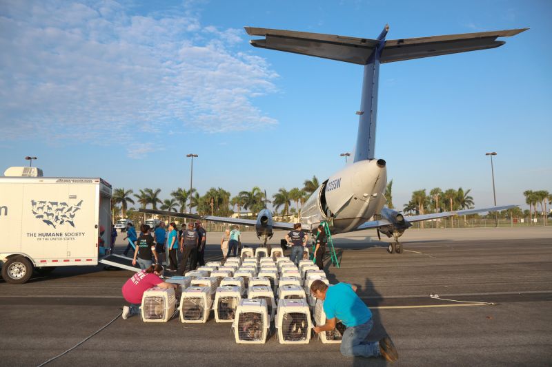 a group of crates sit next to a plane on a runway
