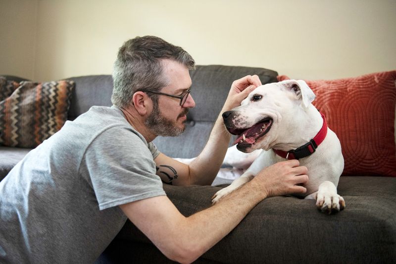 Man pets a dog sitting on a couch.