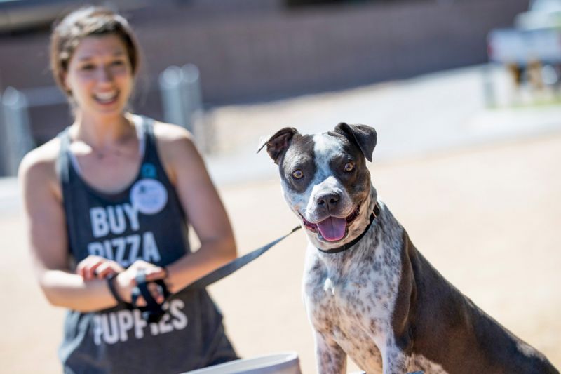 a woman takes her foster dog for a walk