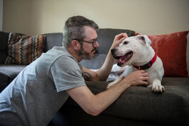 a man leans over the couch to pet a dog's head