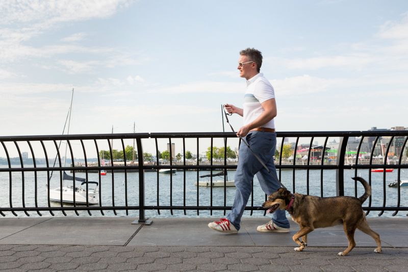 a man walking a dog along a bridge