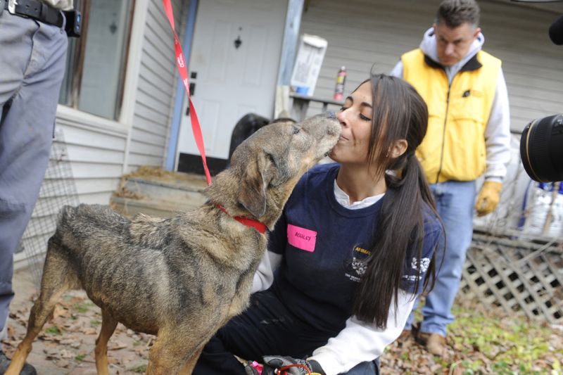 Ashley Mauceri pets a severly emaciated dog that has been removed from abject filth.