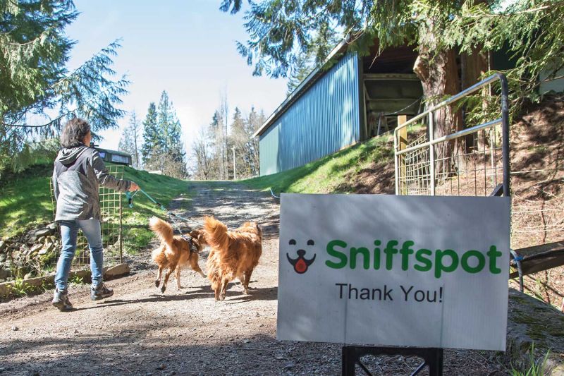 A woman walks two dogs, at a Sniffspot property 