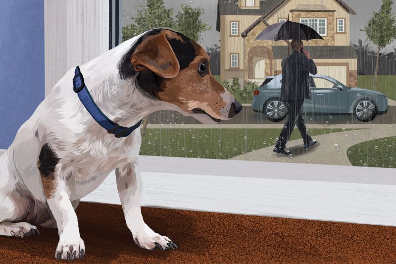 Illustration of a sad dog watching his owner leave the house.