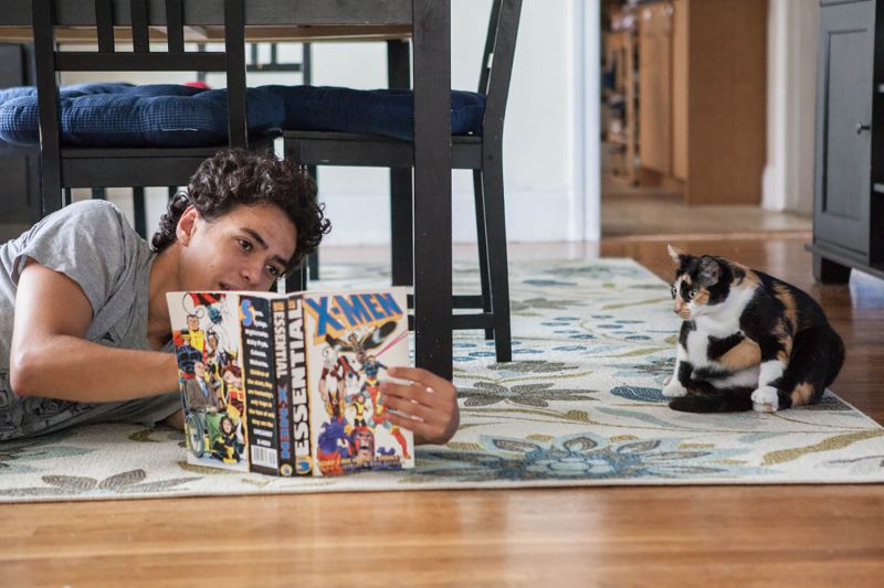 A person showing a comic book to a sitting cat.